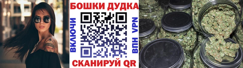Каннабис OG Kush  закладки  Тосно 